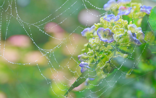 949563 (a): :2880x1800